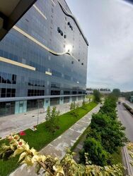 REVV (D22), Factory #460755551